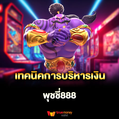 เทคนิคการบริหารเงิน เส้นทางสู่ความมั่นคงทางการเงิน ฉบับ PUSSY888